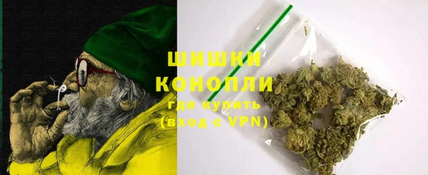 дурь Няндома