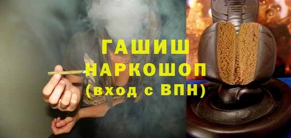 дурь Няндома