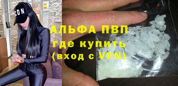 дурь Няндома