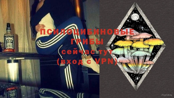 МДПВ Нязепетровск