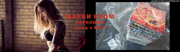 дурь Няндома