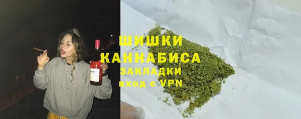дурь Няндома