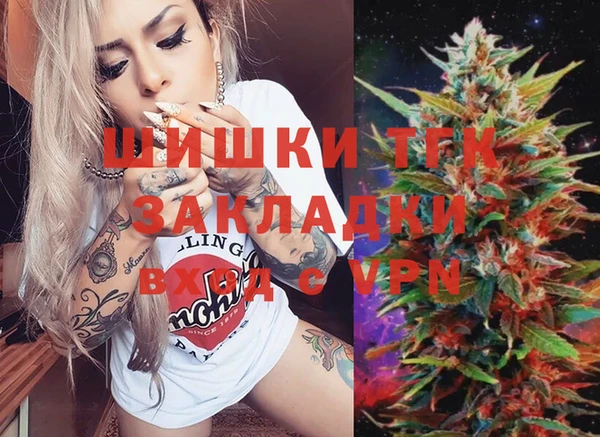 дурь Няндома