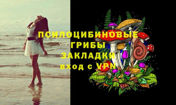 шишки Дмитриев