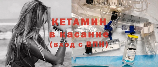 дурь Няндома