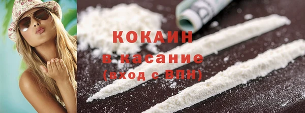 дурь Няндома