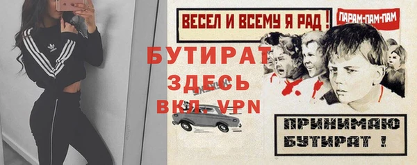 дурь Няндома