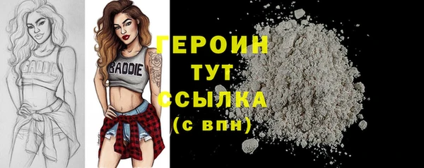 дурь Няндома
