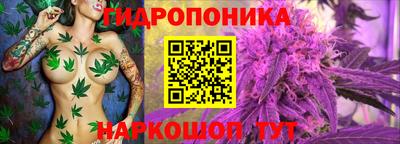 прущий лед Берёзовский