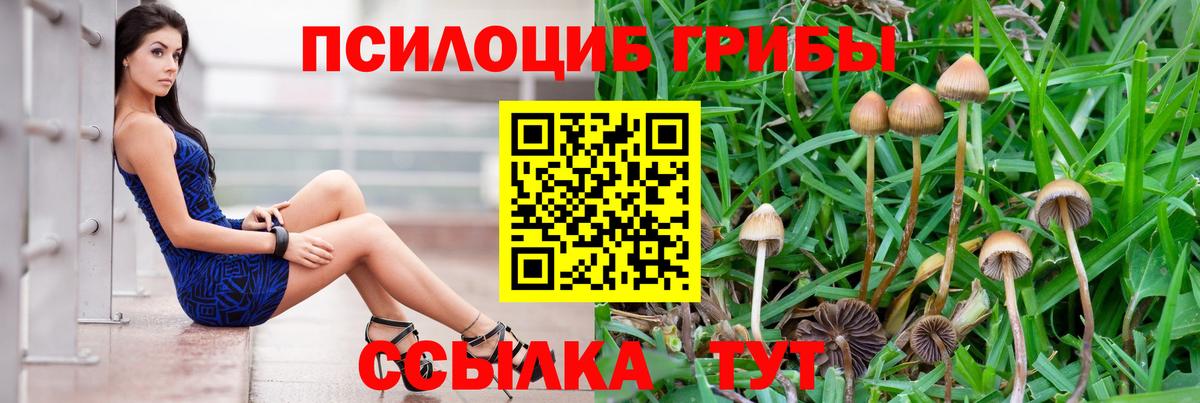 ЭКСТАЗИ  Конопля  Мефедрон кристаллы  Вход с VPN  Кувандык  Кокаин  ГАШ 