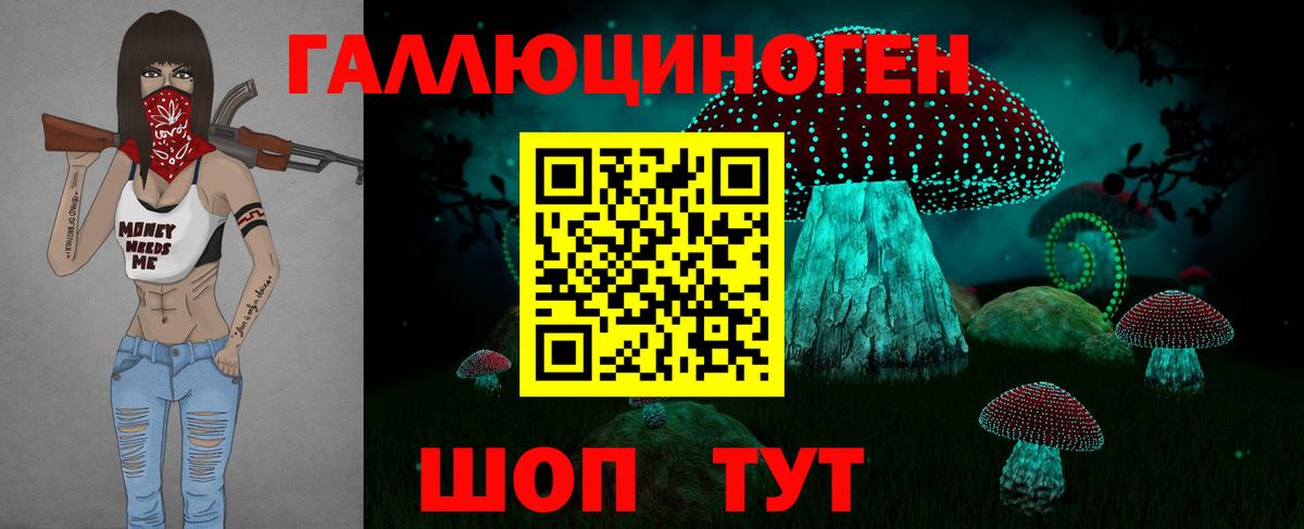 Кувандык  Псилоцибиновые грибы Psilocybine cubensis  Вход с VPN 